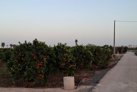 Sale - Plot - Guardamar del Segura - Guardamar Playa