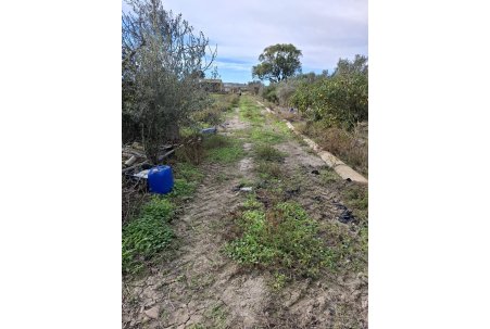 Venta - Parcela/Terreno - Guardamar del Segura - Guardamar pueblo