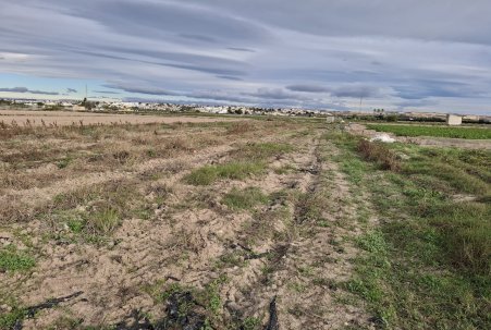 Venta - Parcela/Terreno - Guardamar del Segura - Guardamar pueblo