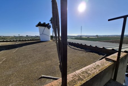 Venta - Parcela/Terreno - Guardamar del Segura - Guardamar pueblo