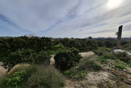 Sale - Plot - San Fulgencio