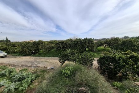 Sale - Plot - San Fulgencio