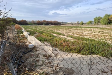 Prodej - Pozemek - Guardamar del Segura - Guardamar pueblo