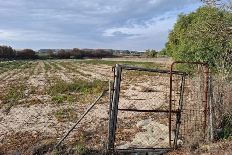 Prodej - Pozemek - Guardamar del Segura - Guardamar pueblo