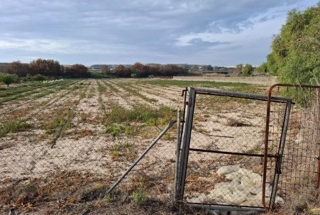 Prodej - Pozemek - Guardamar del Segura - Guardamar pueblo