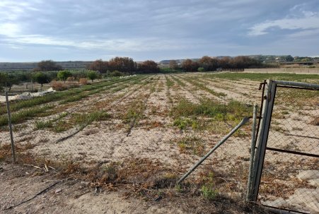 Prodej - Pozemek - Guardamar del Segura - Guardamar pueblo