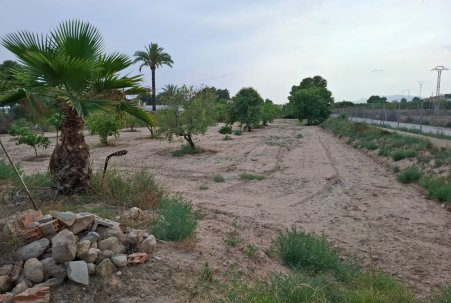 Sale - Town house - Elche Pedanías - Matola