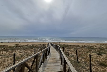 Prodej - Apartmán - Guardamar del Segura - Guardamar Playa