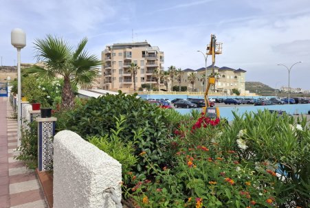 Prodej - Apartmán - Guardamar del Segura - Guardamar Playa