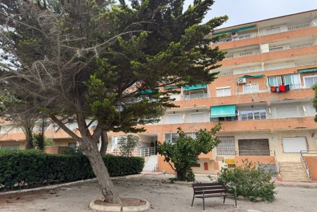 Prodej - Apartmán - Guardamar del Segura - Guardamar Playa