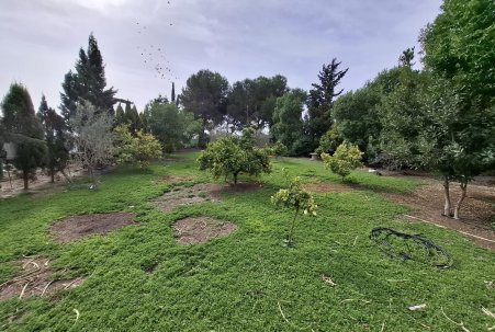 Sale - Town house - Guardamar del Segura - Guardamar pueblo
