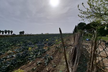 Sale - Town house - Guardamar del Segura - Guardamar pueblo