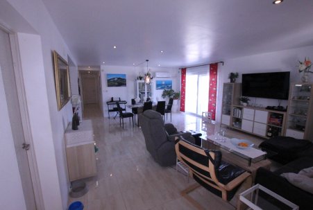 Sale - Finca - Crevillente