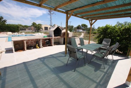 Sale - Finca - Crevillente