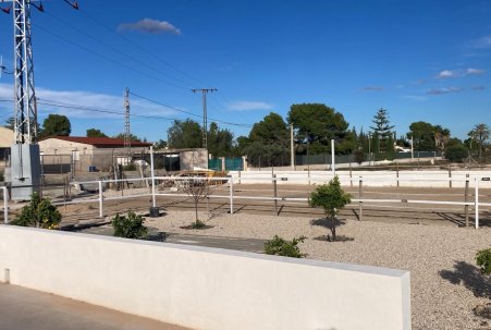 Sale - Finca - Crevillente