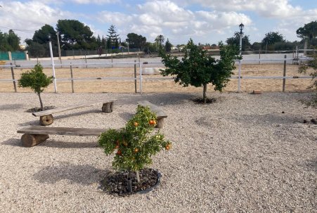 Sale - Finca - Crevillente