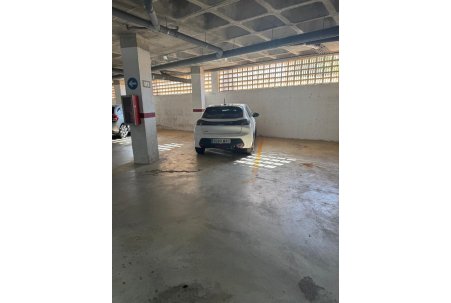 Venta - Apartamento - Arenales del Sol - Arenales