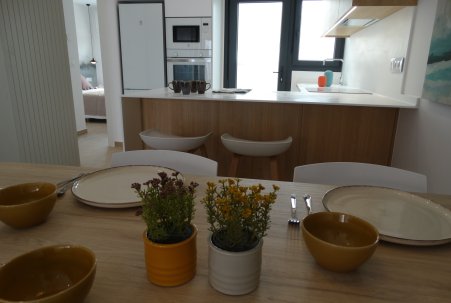 Obra Nueva - low-bungalow - Pilar de la Horadada