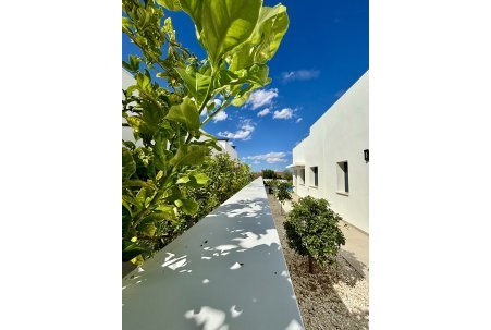 New Build - detached - Benijófar