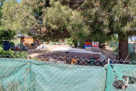 Venta - Parcela/Terreno - Guardamar del Segura - Guardamar Playa
