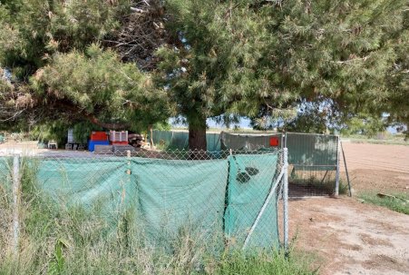 Venta - Parcela/Terreno - Guardamar del Segura - Guardamar Playa