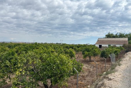 Venta - Finca - Rojales - Ciudad Quesada