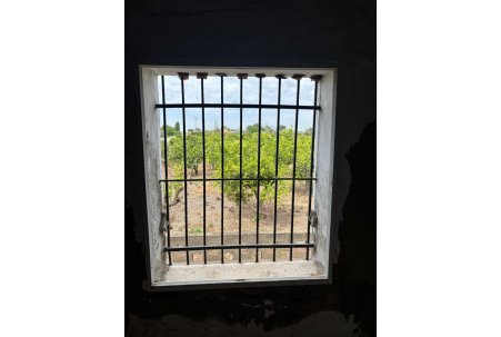 Venta - Finca - Rojales - Ciudad Quesada
