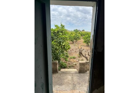 Venta - Finca - Rojales - Ciudad Quesada