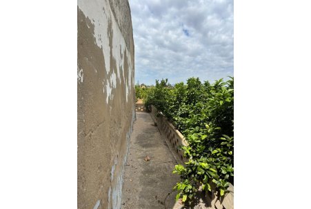 Venta - Finca - Rojales - Ciudad Quesada
