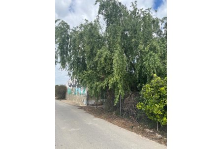 Venta - Finca - Rojales - Ciudad Quesada