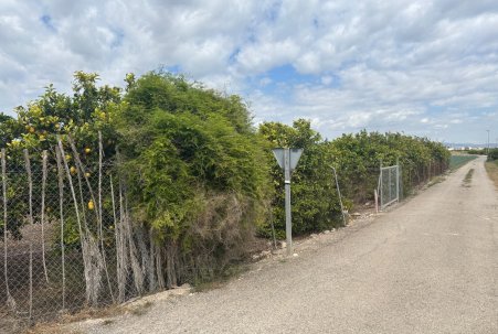 Venta - Finca - Rojales - Ciudad Quesada