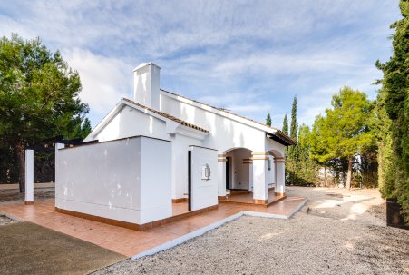 Obra Nueva - terraced - Fuente Alamo