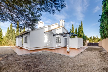 Obra Nueva - terraced - Fuente Alamo