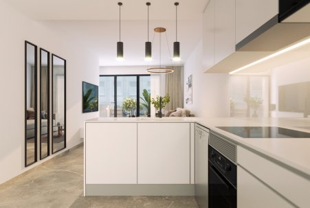 Obra Nueva - Apartamento - Torrevieja