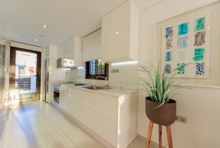 Obra Nueva - terraced - Pilar de la Horadada