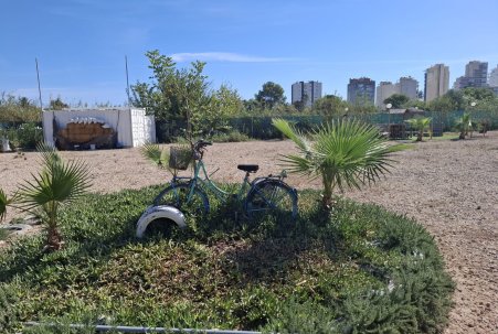 Sale - Plot - Guardamar del Segura