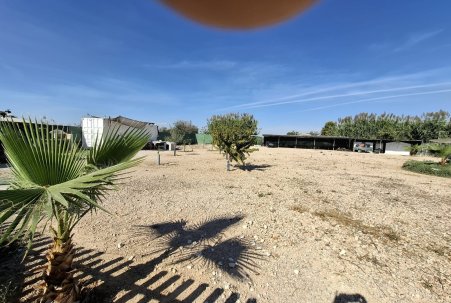 Sale - Plot - Guardamar del Segura