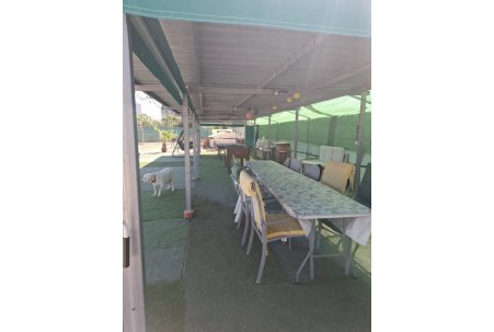 Sale - Plot - Guardamar del Segura