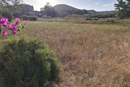 Sale - Plot - Rojales - Ciudad Quesada