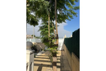 Sale - Villa - Benijofar