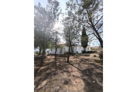 Sale - Country House - Fortuna