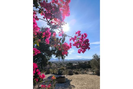 Sale - Country House - Fortuna