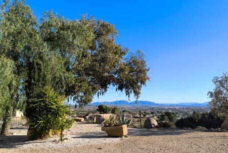 Sale - Country House - Fortuna