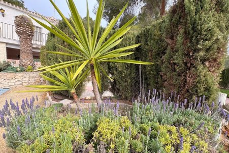 Venta - Chalet - Sax