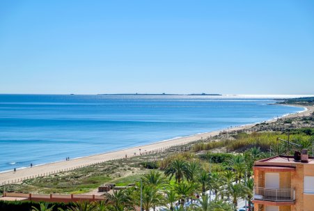 Sale - Apartment - Arenales del Sol - Segunda linea playa