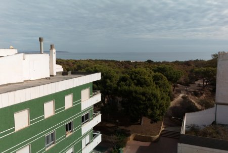Novostavba - Apartmán - Guardamar del Segura