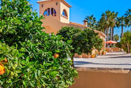 Sale - Country House - Rafal