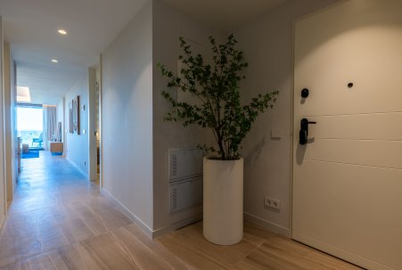 New Build - Appartement - Guardamar del Segura