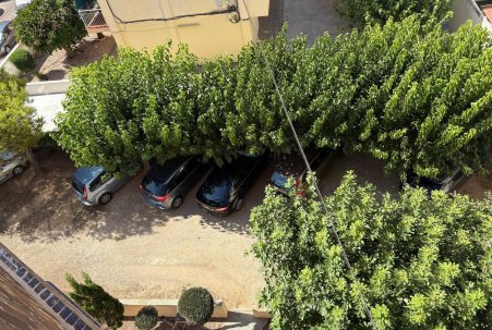 Sale - Wohnung - Torrevieja - LA MATA