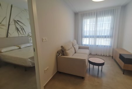 Obra Nueva - Apartamento - Torrevieja